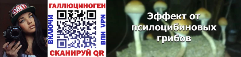 Купить закладки  Монино  Галлюциногенные грибы мицелий 