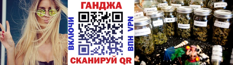 Конопля индика Монино